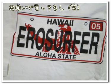 エロサーファー