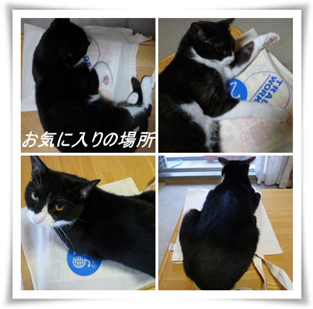 チェリーの・・・