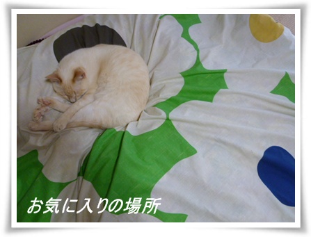 お気に入りの場所