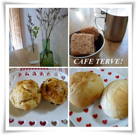 CAFE TERVE!