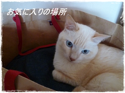お気に入りの場所