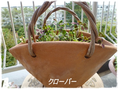 クローバー