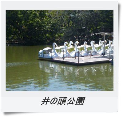 井の頭公園