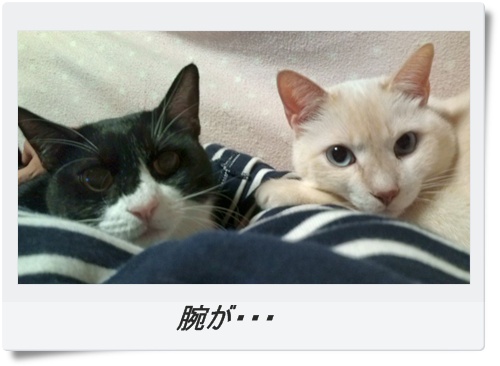 腕枕