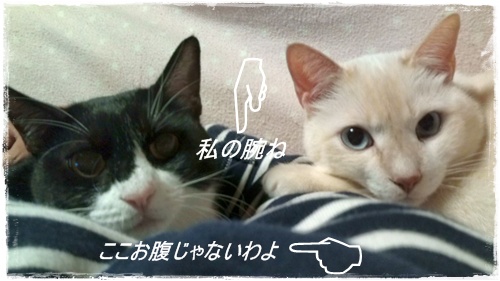 腕枕