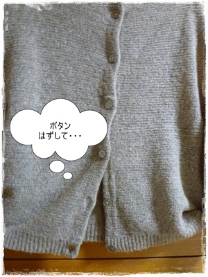 ニット