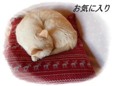お気に入りの場所
