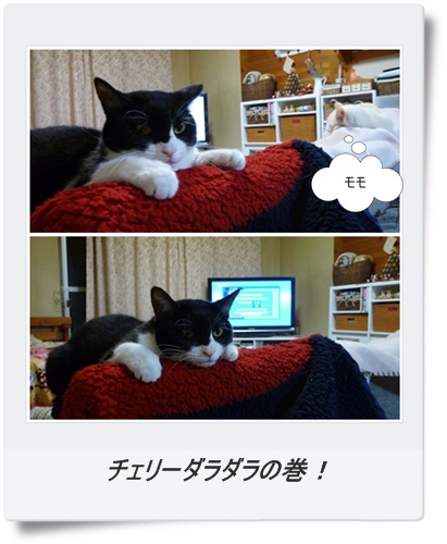 ダラダラチェリー