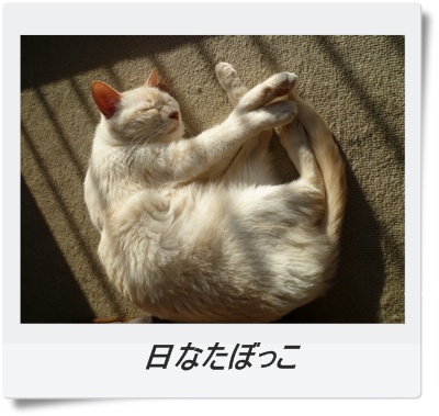 日なたぼっこ