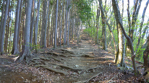 登りが続く