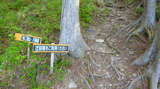 迂回路?