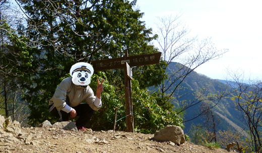 コブタカ山