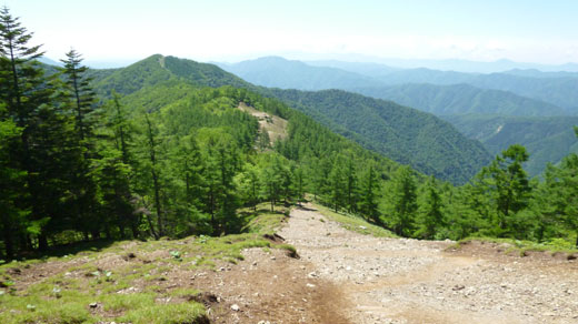 ヨモギ尾根ノ頭から七ツ石山