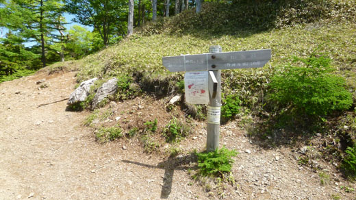 富田新道との分岐