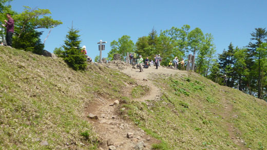 山頂が見えてきた