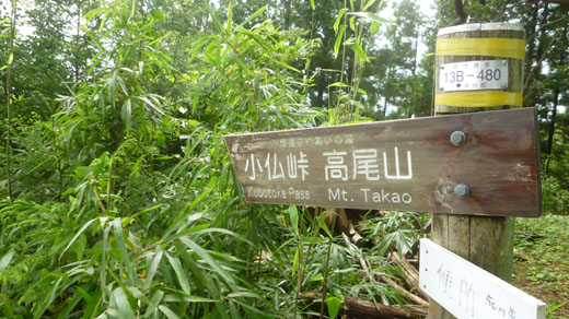 高尾山へ