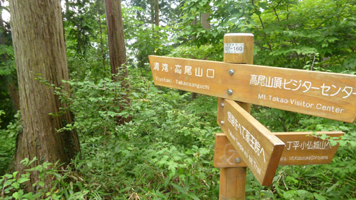 稲荷山コースで下山
