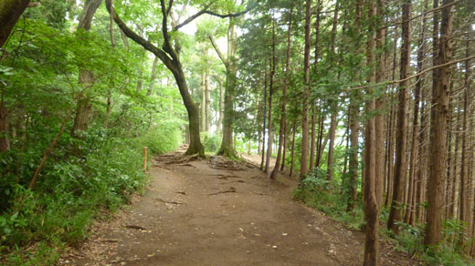 尾根道