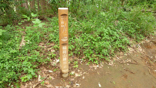 3.1km