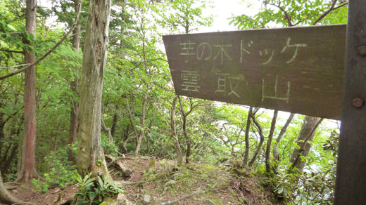 少ない道標