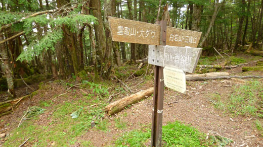 三峰口からのコースと合流