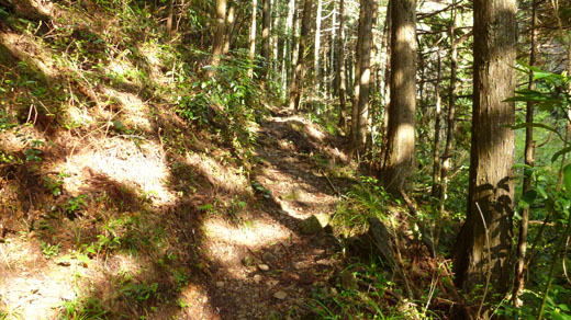 登山道