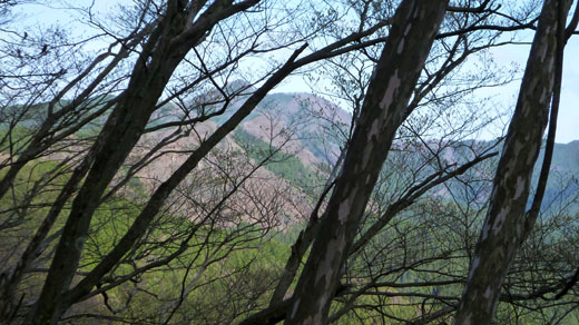 大岳山が見える
