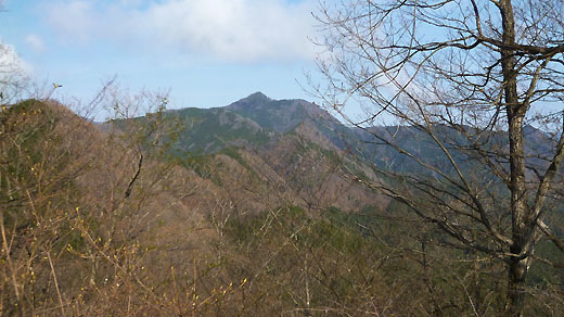 次のターゲット大岳山