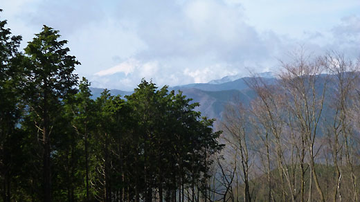 富士山半分