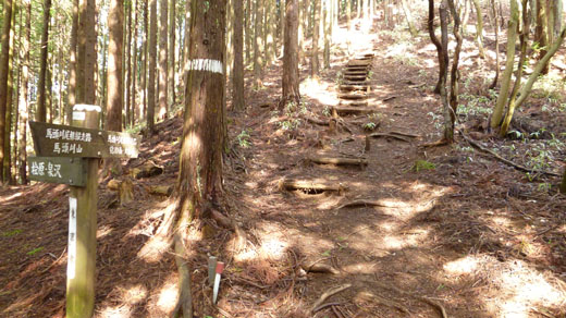 桧原・泉沢分岐