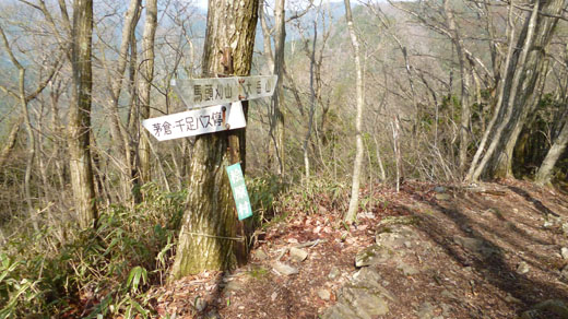 茅倉・千足バス停分岐