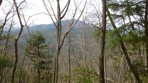 御前山が見える