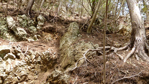 鋸山直下の岩場