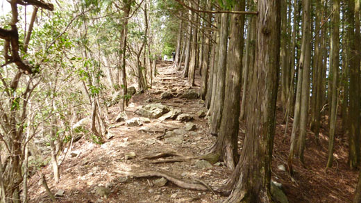 鋸山山頂間近