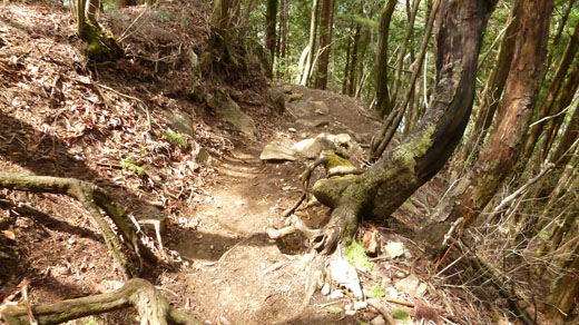 いよいよ本格的に下山