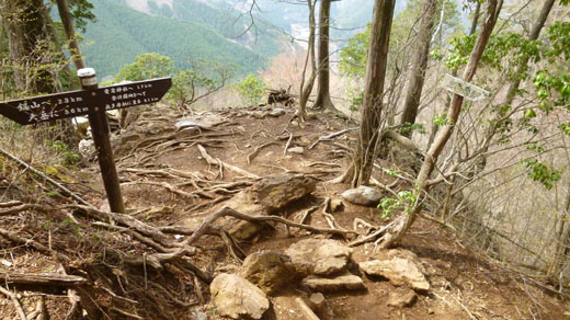 今日も一般登山道で