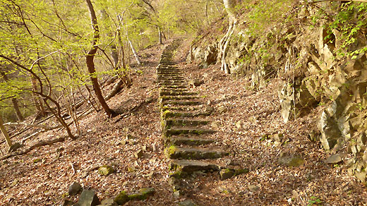 登山口の木段