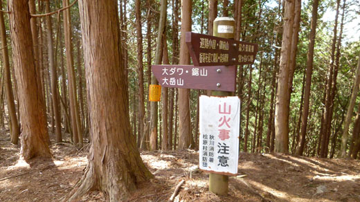 大タワ方面へ