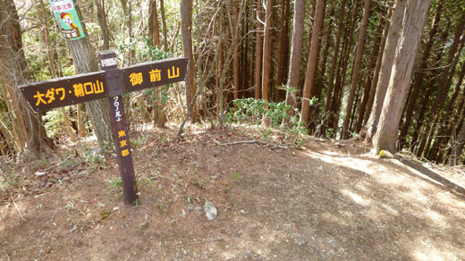 ここから中尾根へ