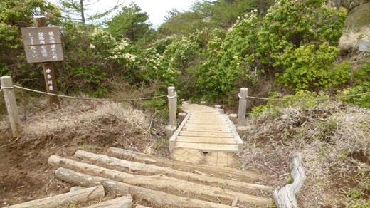 いよいよ蛭ヶ岳へ