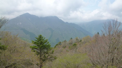 丹沢山かな?
