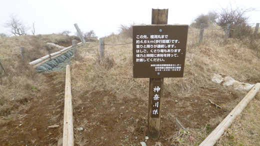 西丹沢方面への道