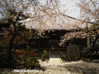 墨染寺1