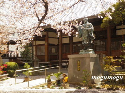 日蓮像と桜