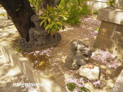 墨染寺4