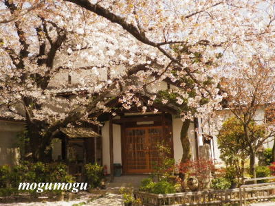 墨染寺5