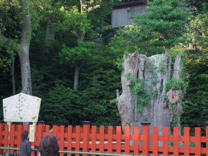 kamakura_8.jpg