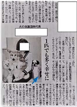 tsukamoto-newspapaer.jpg