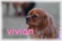 ¤Ë¤Û¤ó¥Ö¥í¥°Â¼ ¸¤¥Ö¥í¥° ¥¥ã¥Ð¥ê¥¢¤Ø