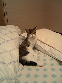 ここじゃないの?